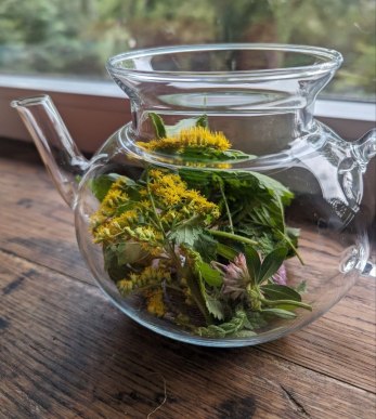 Kräuter in der Kanne